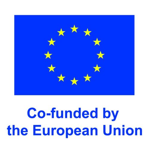 EN V Co funded by the EU POS e1723449683356